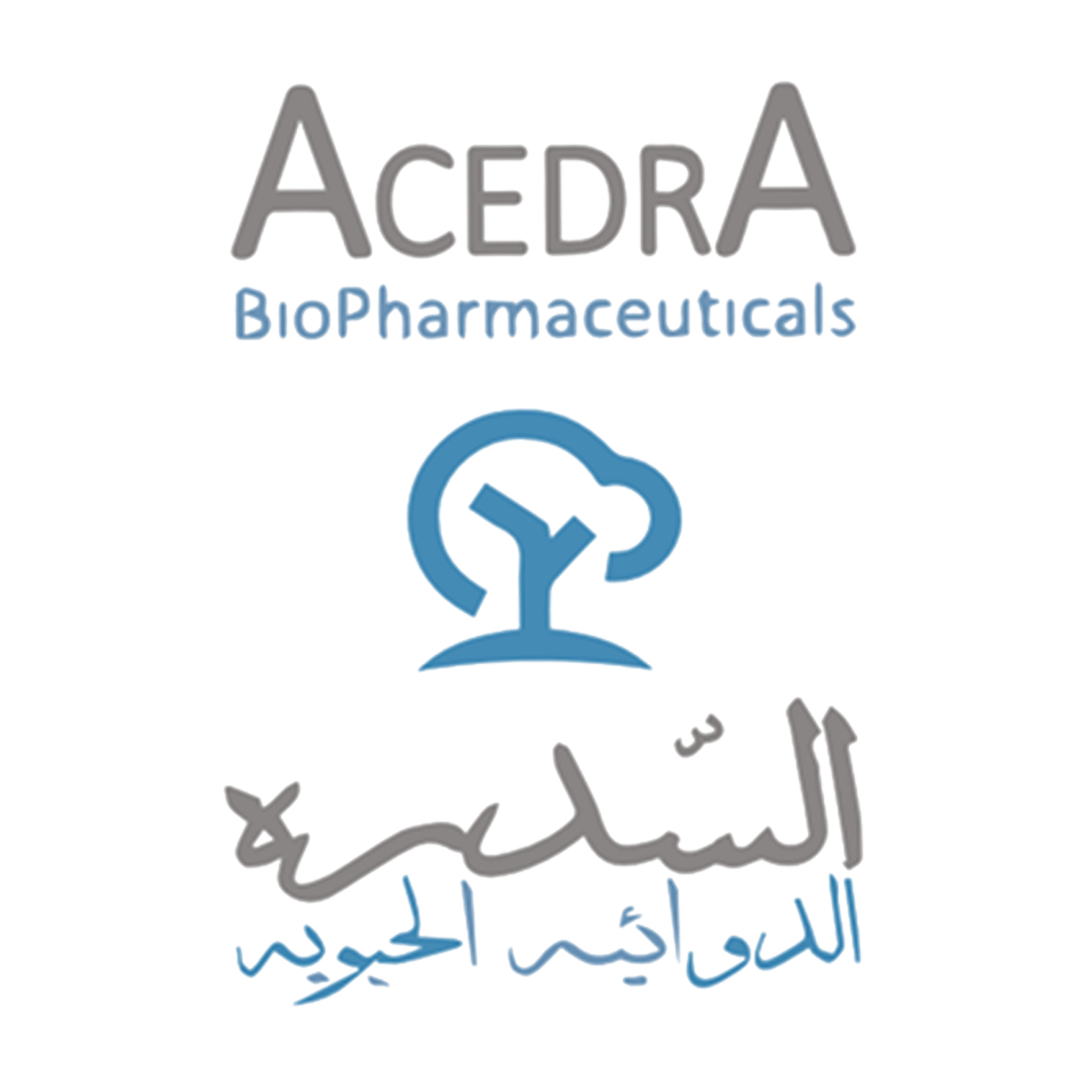 02 AcedrA logo 2