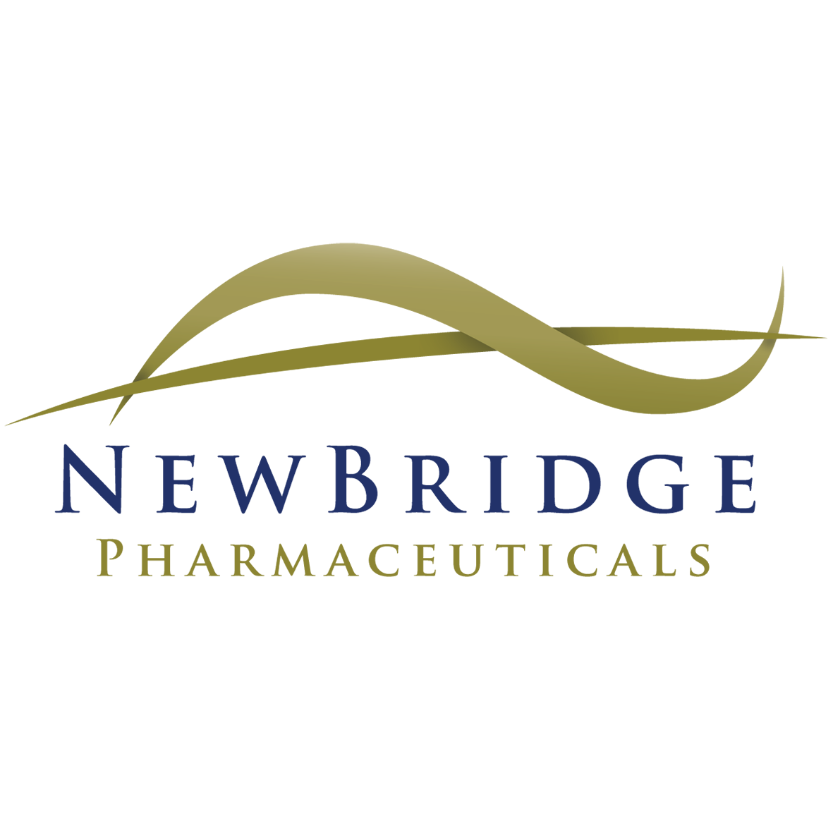 03 New Bridge _logo