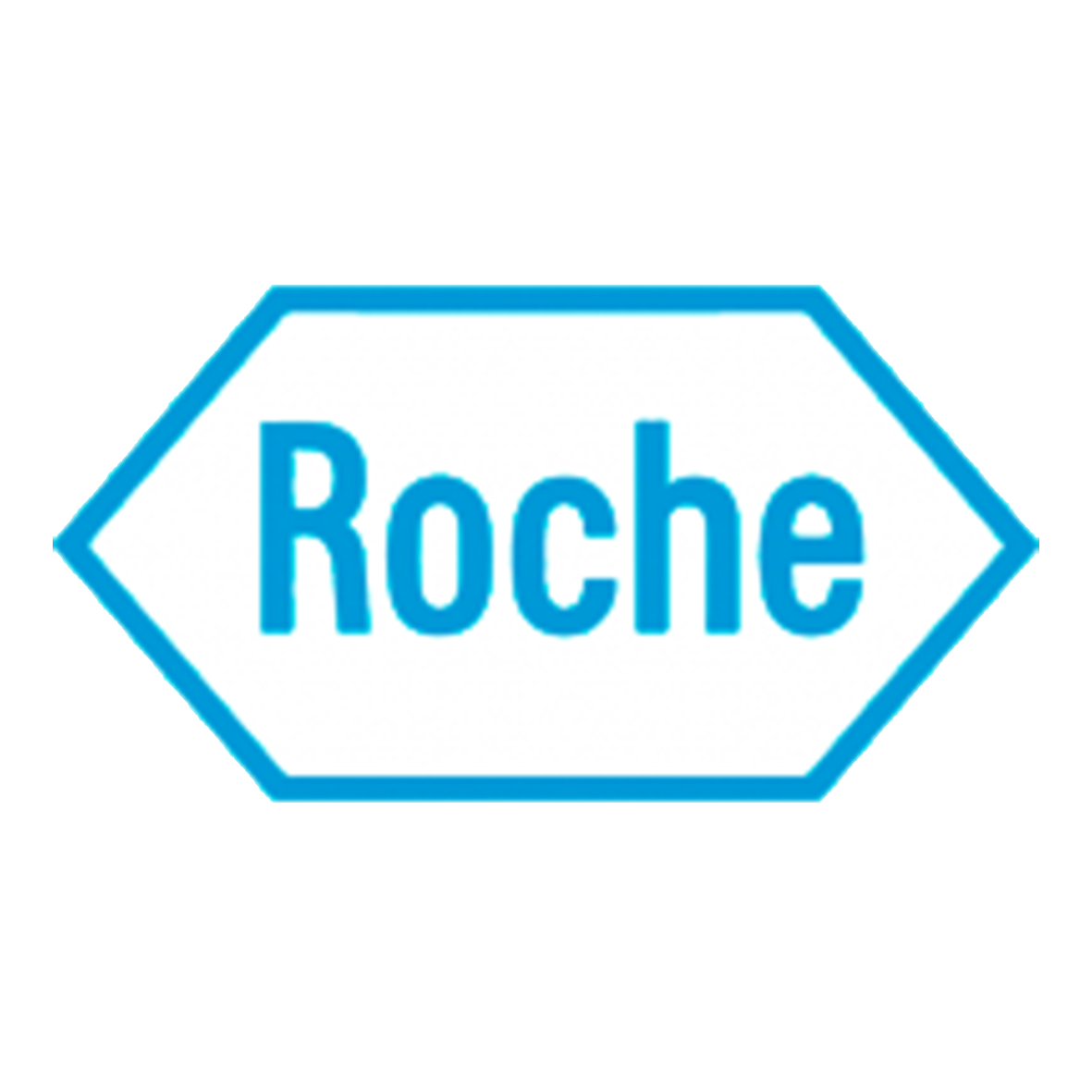 08 Roche logo